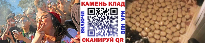 дарнет шоп  Йошкар-Ола  мориарти клад  Гашиш гарик 