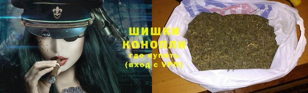 хмурый Верея