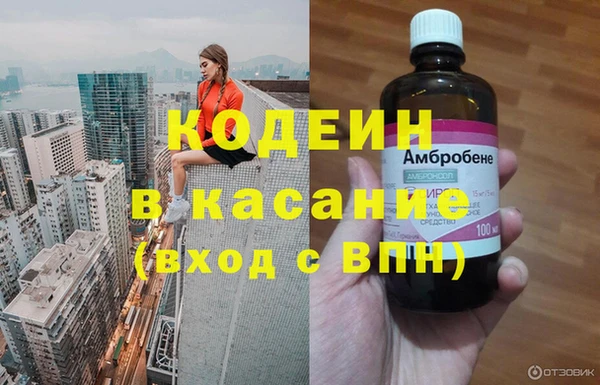 хмурый Верея
