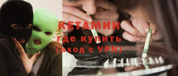 хмурый Верея