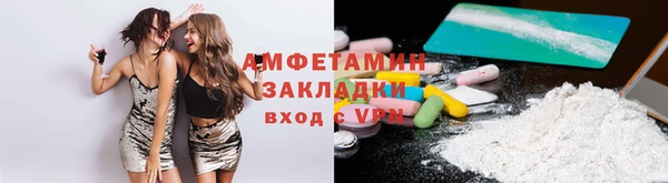 хмурый Верея